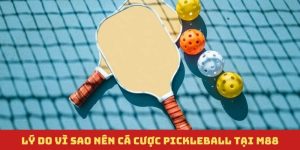 Cá cược pickleball, bộ môn cá cược xu hướng 2025